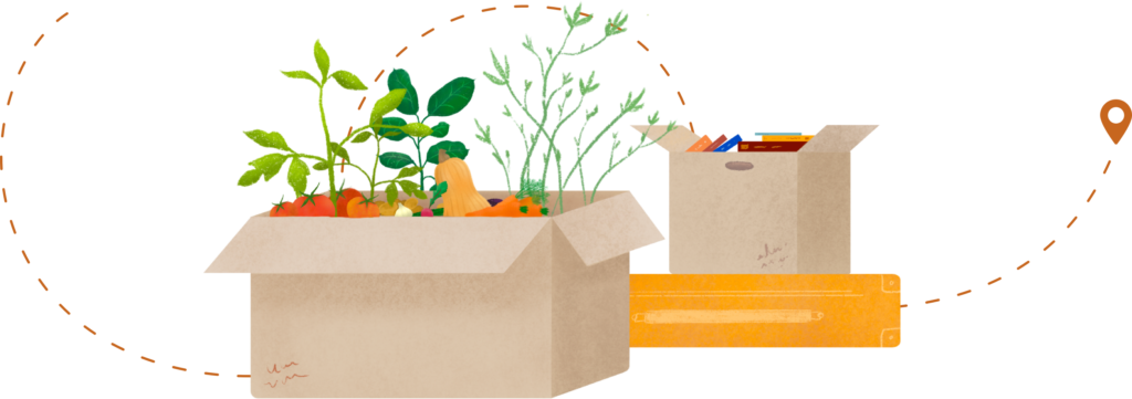 Illustration d'un déménagement, les cartions plein de livres et de légumes